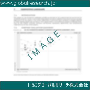 グローバルリサーチ調査資料のイメージ